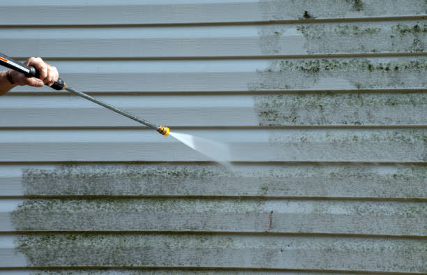 Best Fence Pressure Washing  in Palacios, TX