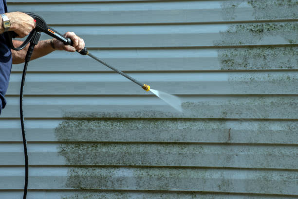 Best Roof Pressure Washing  in Palacios, TX