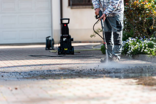Best House Pressure Washing  in Palacios, TX