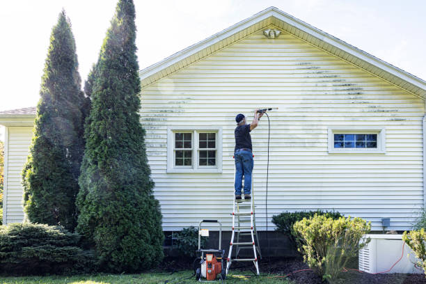 Best Deck Cleaning Services  in Palacios, TX
