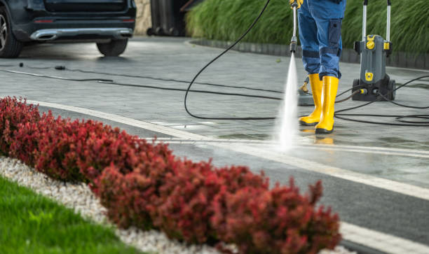 Best Exterior Home Cleaning  in Palacios, TX