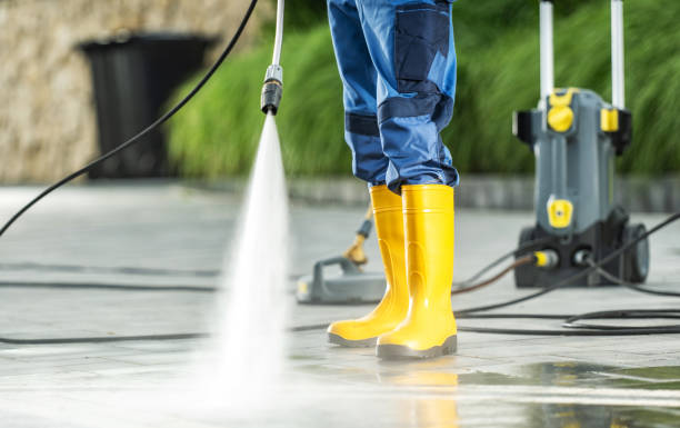 Best House Pressure Washing  in Palacios, TX