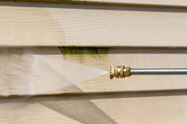 Best House Pressure Washing  in Palacios, TX