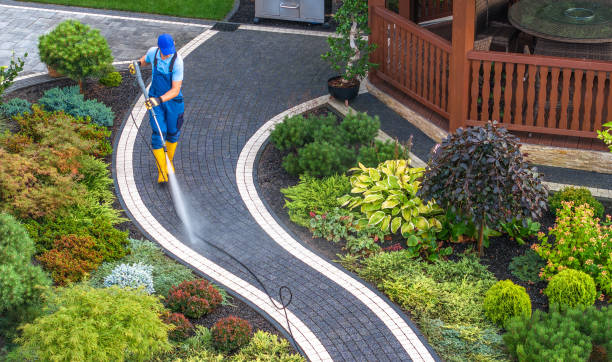 Best Residential Pressure Washing Services  in Palacios, TX