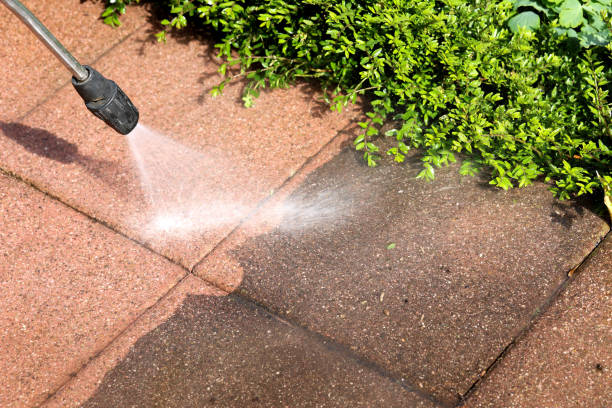 Best Commercial Building Pressure Washing  in Palacios, TX